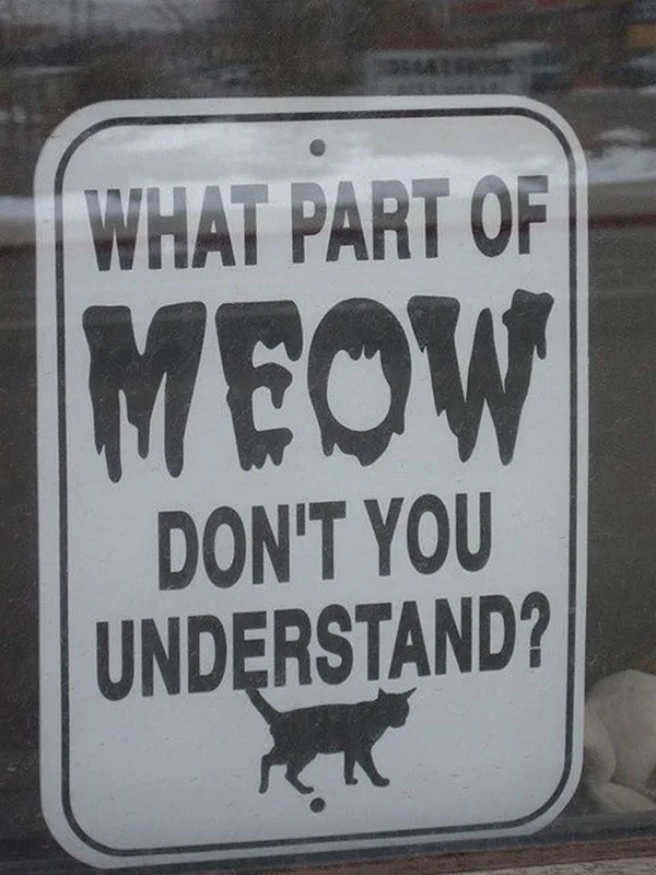 Funny Pet signs to Honor Your Four Legs Buddy - (12)