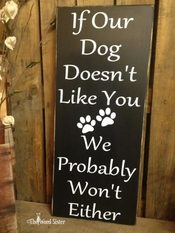 Funny Pet signs to Honor Your Four Legs Buddy - (14)