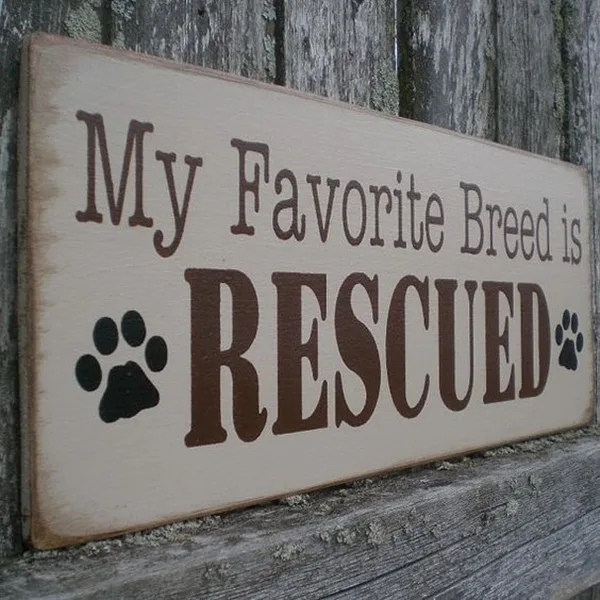 Funny Pet signs to Honor Your Four Legs Buddy - (16)