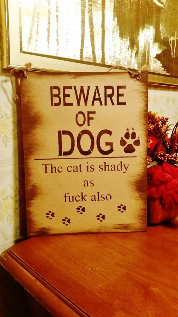 Funny Pet signs to Honor Your Four Legs Buddy - (17)