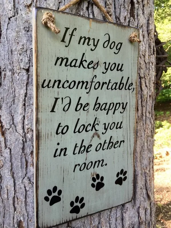 Funny Pet signs to Honor Your Four Legs Buddy - (19)