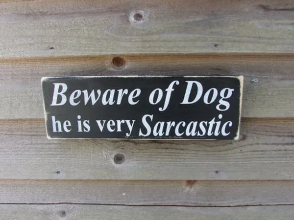 Funny Pet signs to Honor Your Four Legs Buddy - (2)