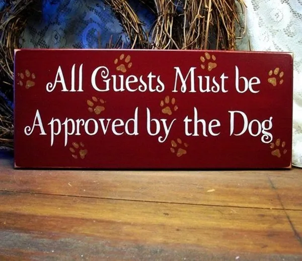 Funny Pet signs to Honor Your Four Legs Buddy - (20)