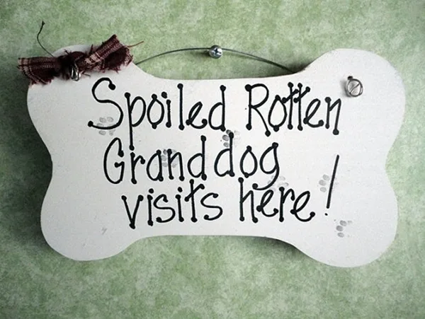 Funny Pet signs to Honor Your Four Legs Buddy - (23)