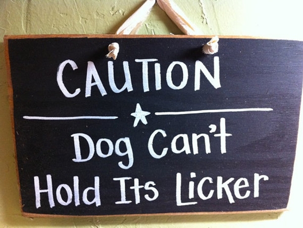 Funny Pet signs to Honor Your Four Legs Buddy - (24)