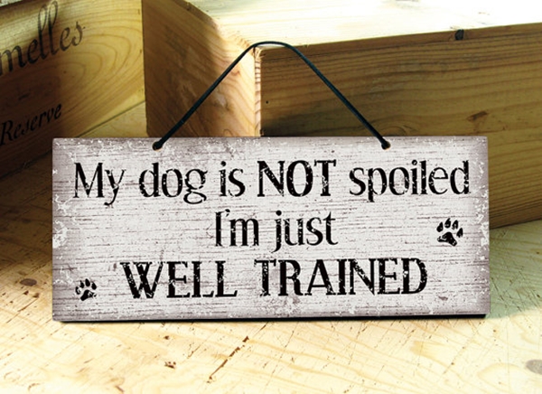 Funny Pet signs to Honor Your Four Legs Buddy - (26)
