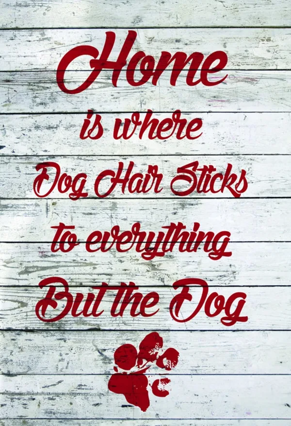 Funny Pet signs to Honor Your Four Legs Buddy - (27)