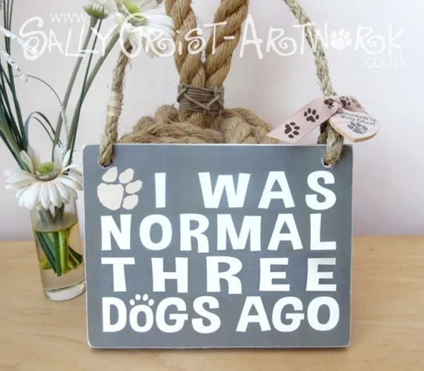 Funny Pet signs to Honor Your Four Legs Buddy - (28)