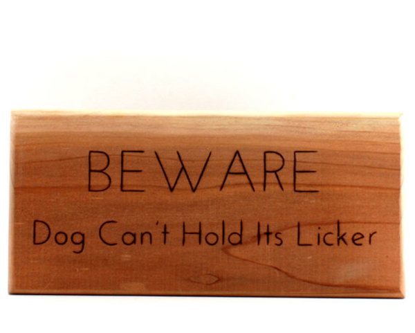 Funny Pet signs to Honor Your Four Legs Buddy - (30)