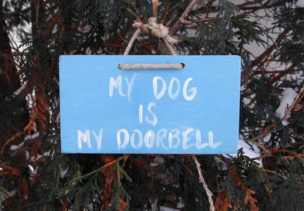 Funny Pet signs to Honor Your Four Legs Buddy - (33)