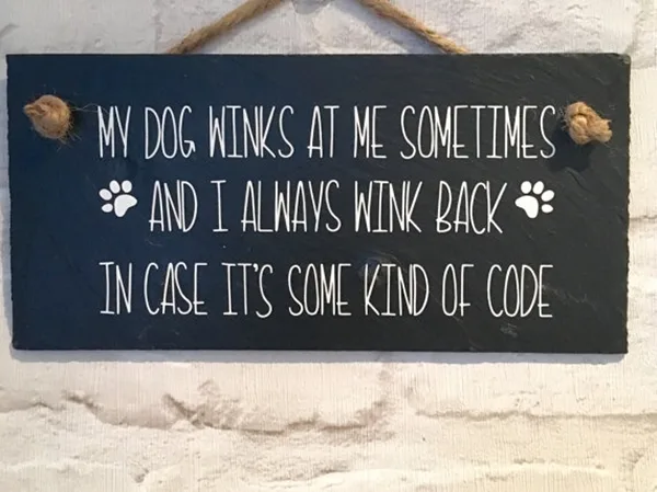 Funny Pet signs to Honor Your Four Legs Buddy - (37)