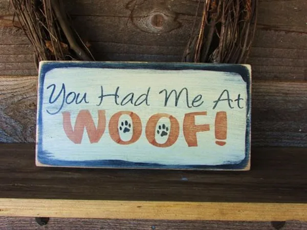 Funny Pet signs to Honor Your Four Legs Buddy - (39)