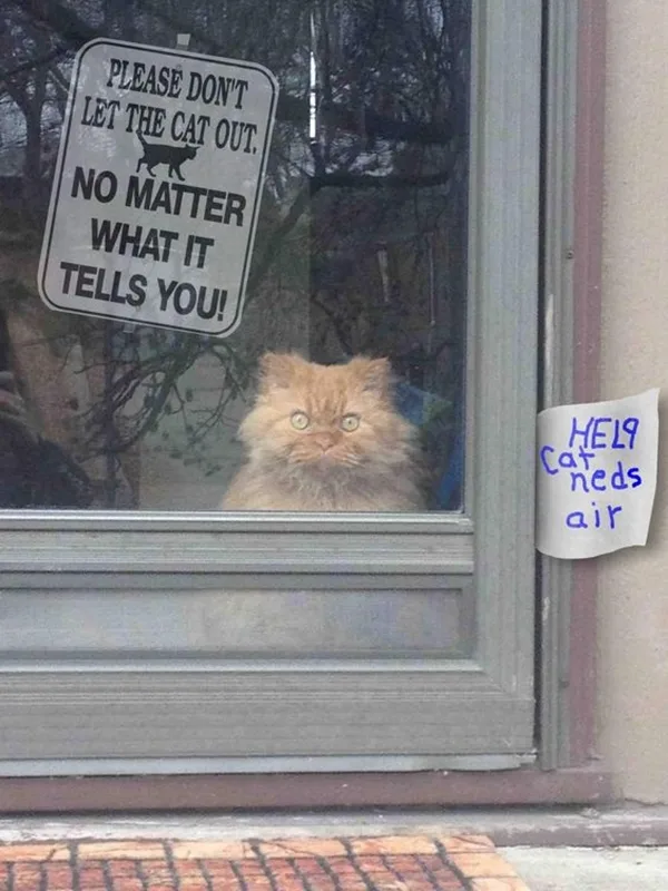 Funny Pet signs to Honor Your Four Legs Buddy - (4)