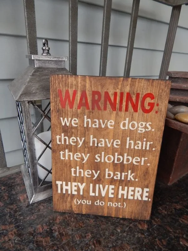Funny Pet signs to Honor Your Four Legs Buddy - (5)