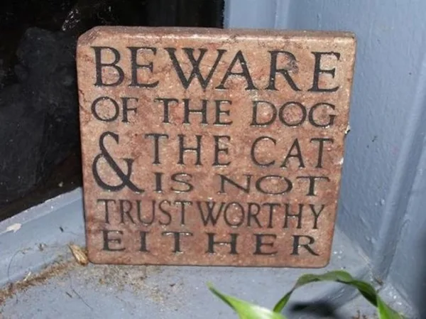 Funny Pet signs to Honor Your Four Legs Buddy - (6)