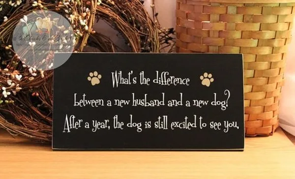 Funny Pet signs to Honor Your Four Legs Buddy - (9)
