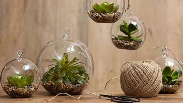 modern-indoor-garden-ideas-from-future-19