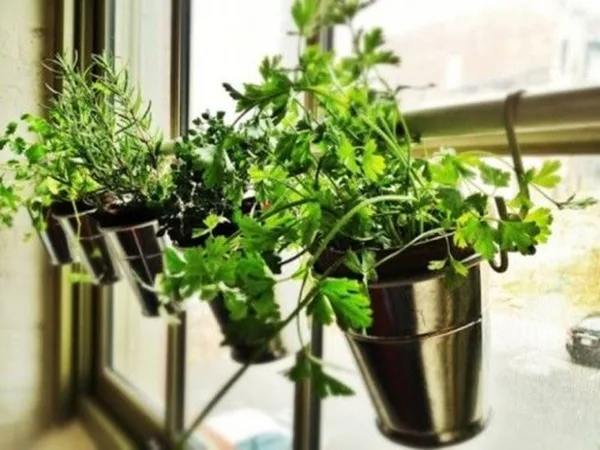 modern-indoor-garden-ideas-from-future-20