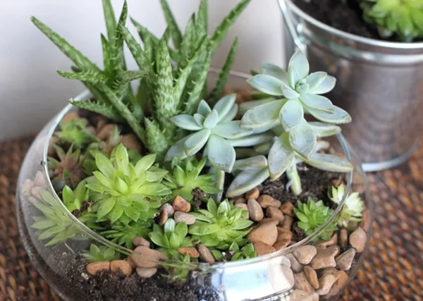 modern-indoor-garden-ideas-from-future-34