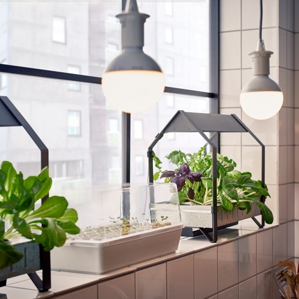 modern-indoor-garden-ideas-from-future-39