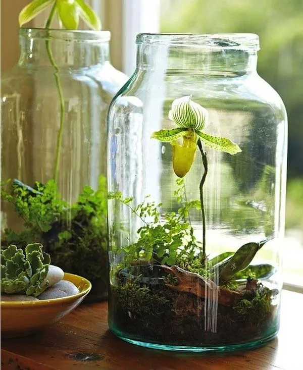 modern-indoor-garden-ideas-from-future-40