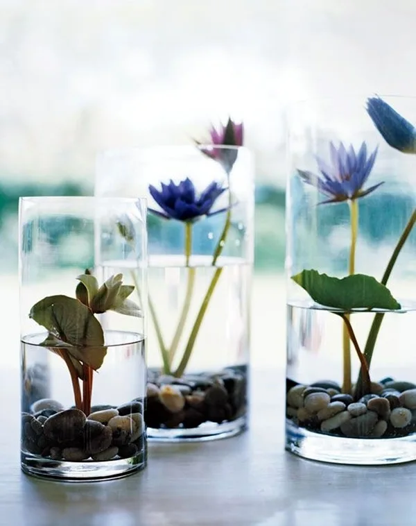 modern-indoor-garden-ideas-from-future-5