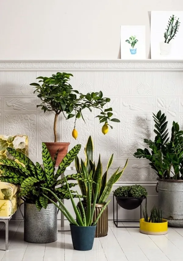 modern-indoor-garden-ideas-from-future-9