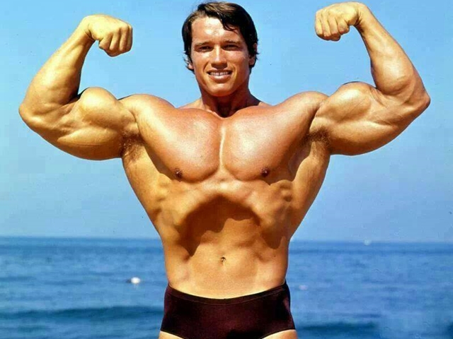 40 Unbreakable Arnold Schwarzenegger Bodybuilding Pictures