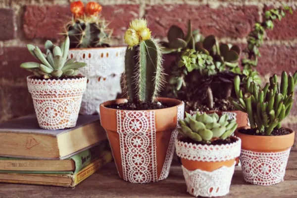 Innovative-Plant-Pots-ideas-1