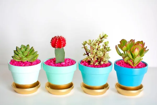 Innovative-Plant-Pots-ideas-18