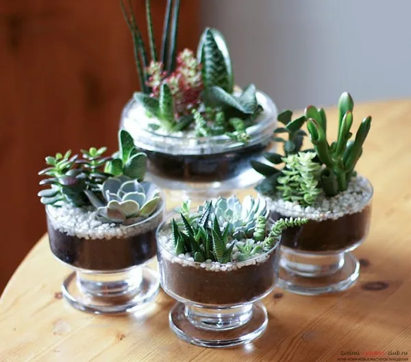Innovative-Plant-Pots-ideas-24