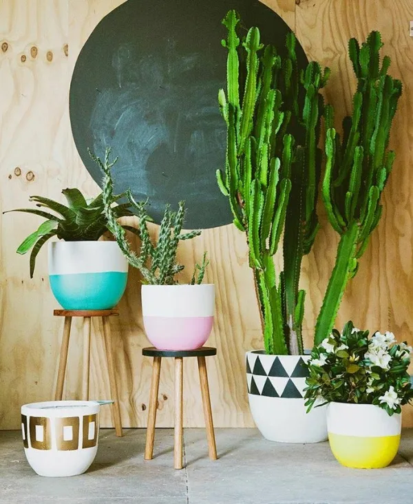 Innovative-Plant-Pots-ideas-27