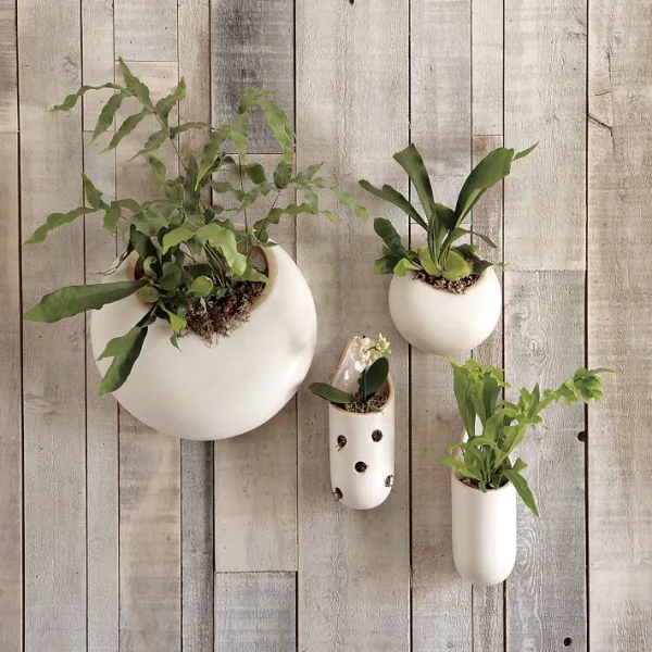 Innovative-Plant-Pots-ideas-29