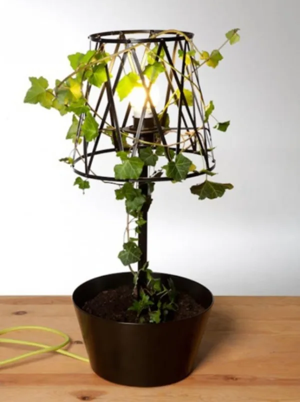Innovative-Plant-Pots-ideas-31
