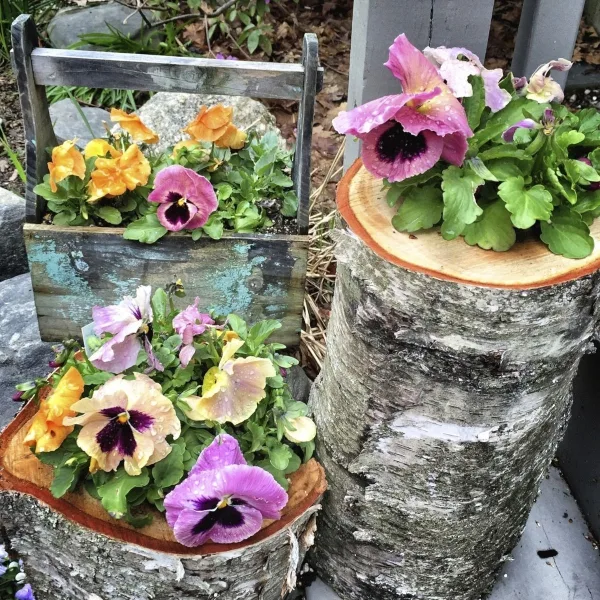 Innovative-Plant-Pots-ideas-32