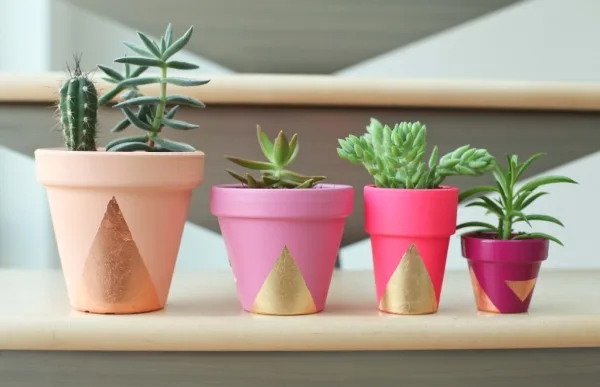 Innovative-Plant-Pots-ideas-38