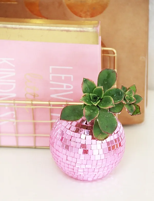 Innovative-Plant-Pots-ideas-37