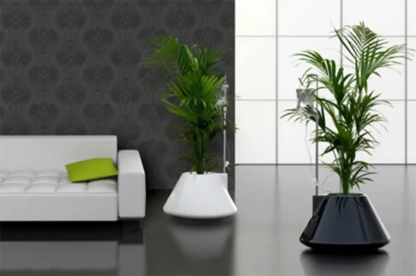 Innovative-Plant-Pots-ideas-38