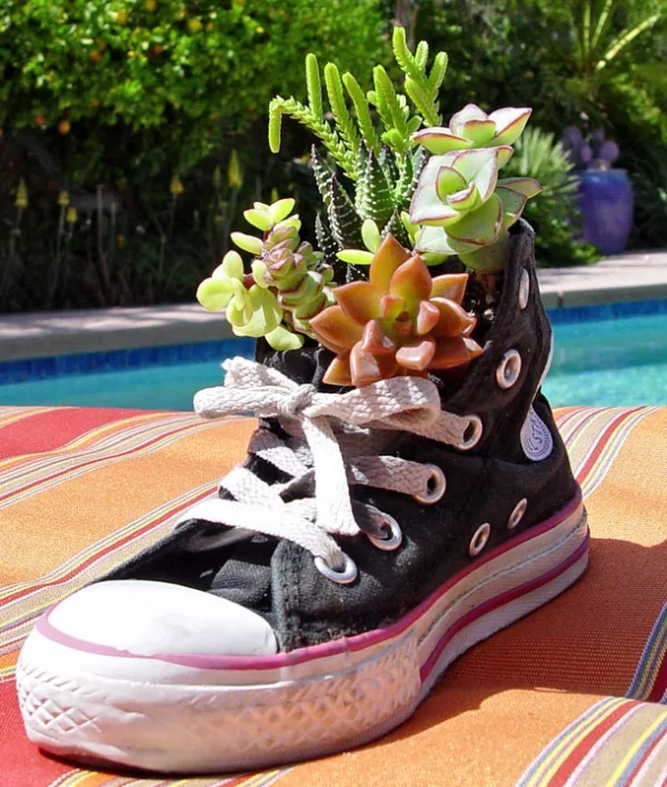 Innovative-Plant-Pots-ideas-6