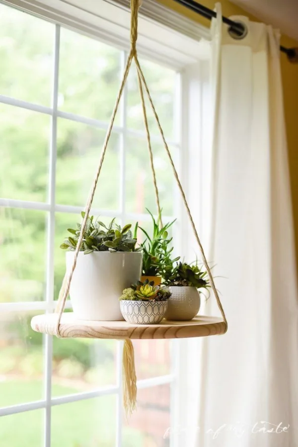 Innovative-Plant-Pots-ideas-9