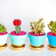 Innovative-Plant-Pots-ideas-feature