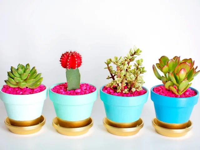 Innovative-Plant-Pots-ideas-feature