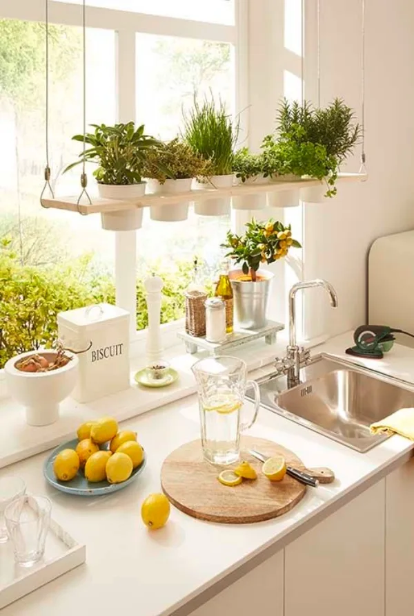 Super-Creative-Vertical-Garden-Ideas-11