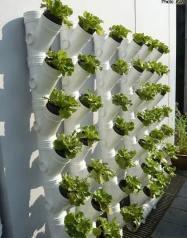 Super-Creative-Vertical-Garden-Ideas-15