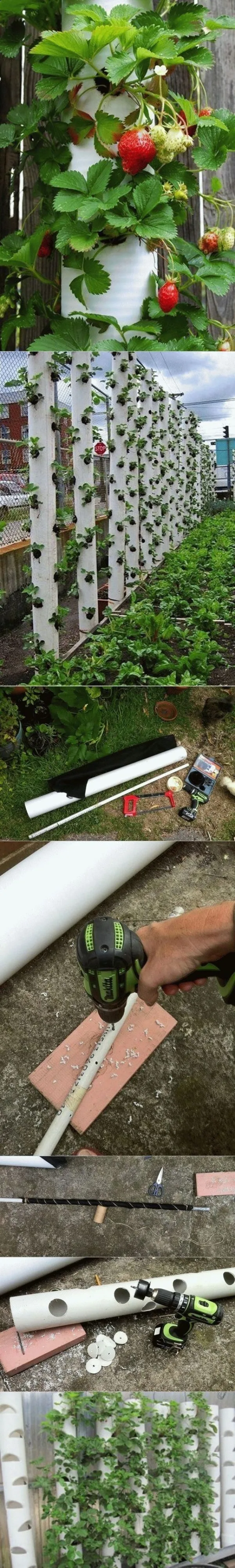Super-Creative-Vertical-Garden-Ideas-18