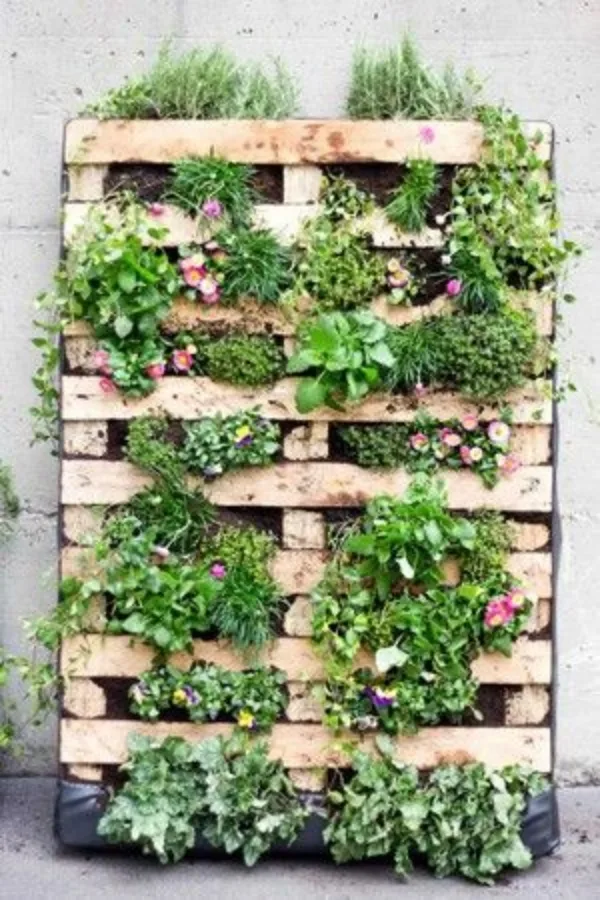 Super-Creative-Vertical-Garden-Ideas-3