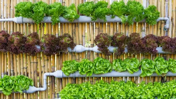 Super-Creative-Vertical-Garden-Ideas-33