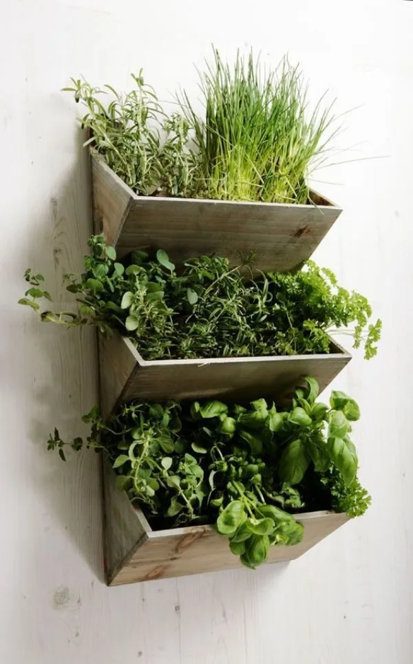 Super-Creative-Vertical-Garden-Ideas-6