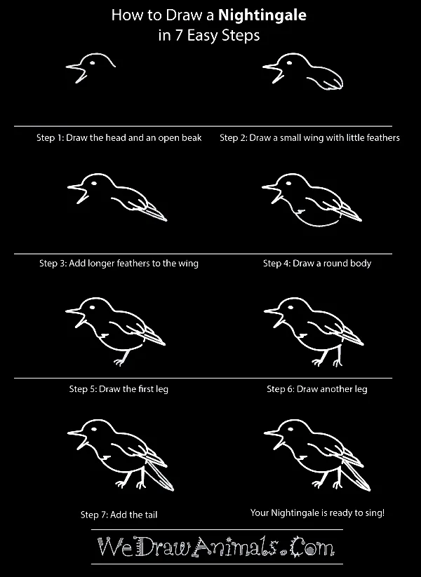 Quick-How-to-Draw-an-Animal-Cheat-Sheet