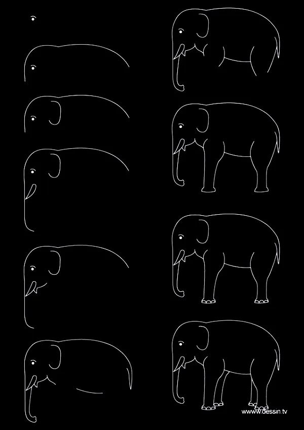 Quick-How-to-Draw-an-Animal-Cheat-Sheet